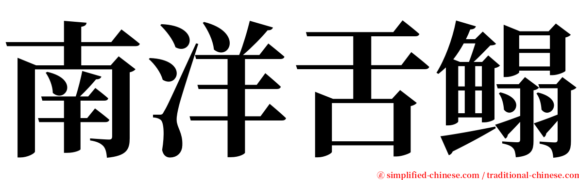 南洋舌鳎 serif font