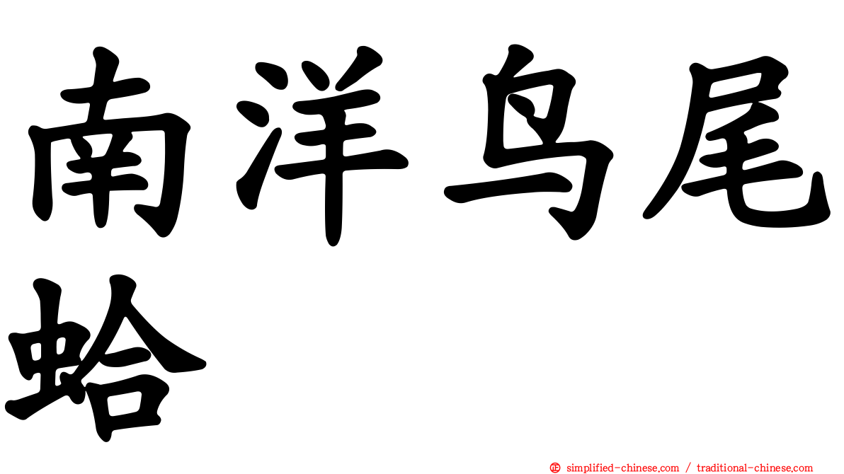 南洋鸟尾蛤