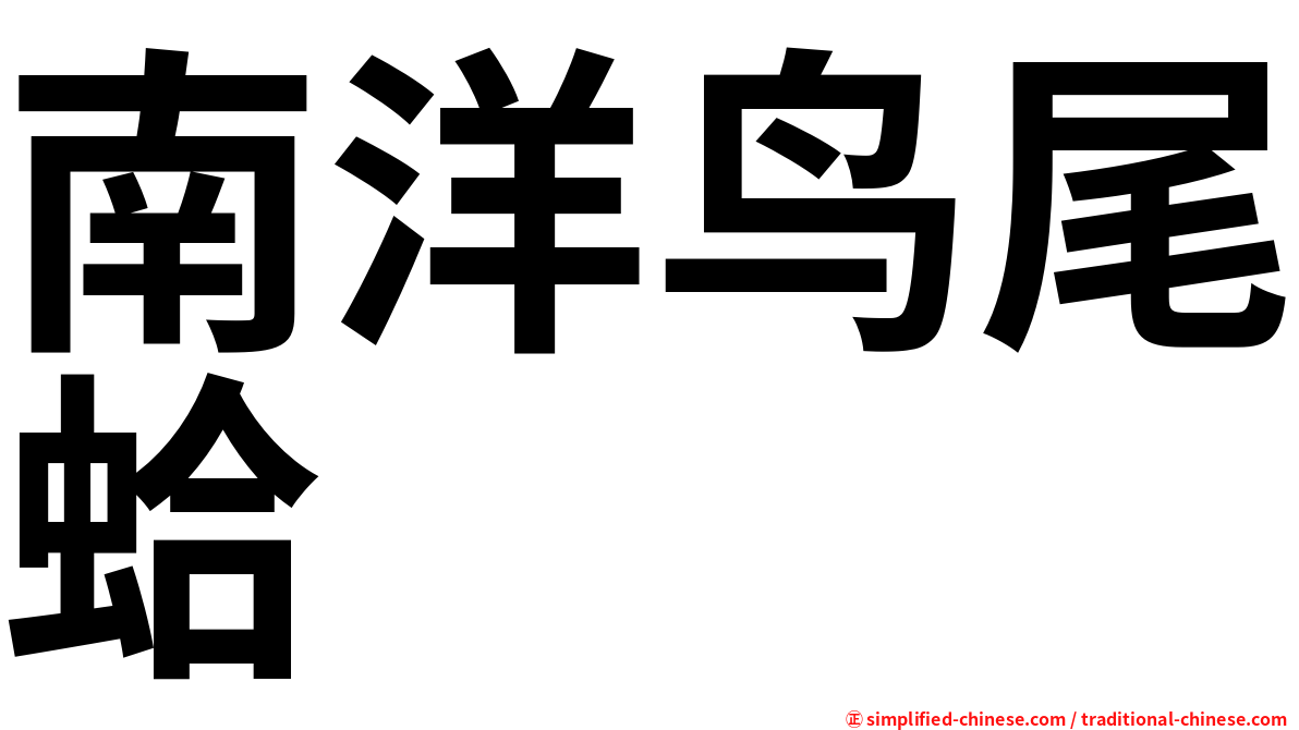 南洋鸟尾蛤