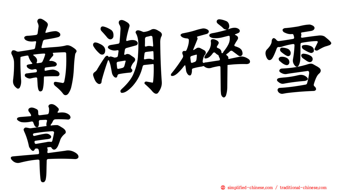 南湖碎雪草