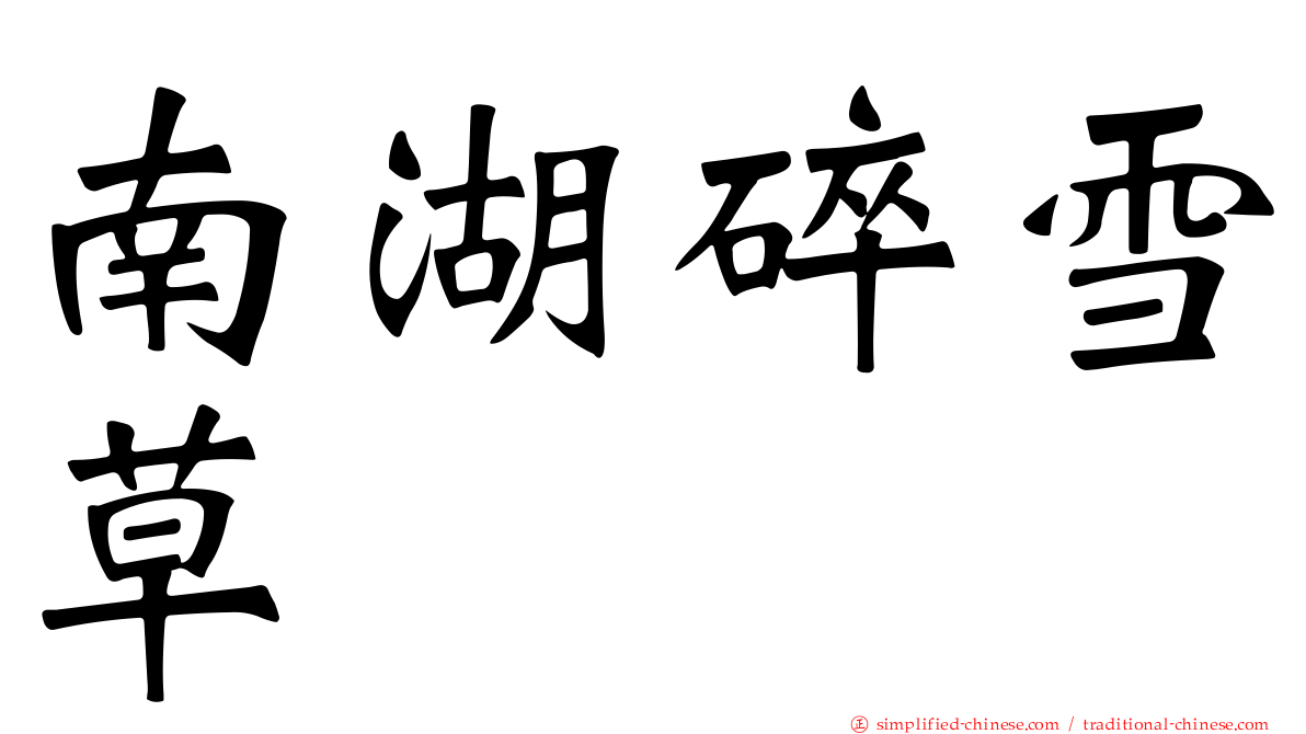 南湖碎雪草
