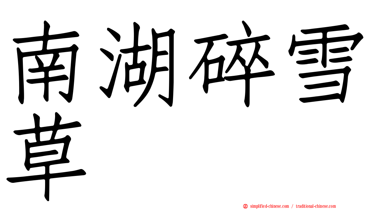 南湖碎雪草