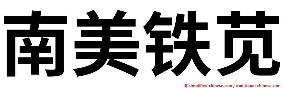 南美铁苋
