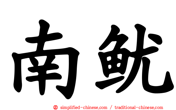 南鱿