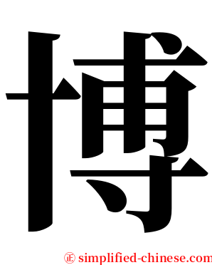 博 serif font