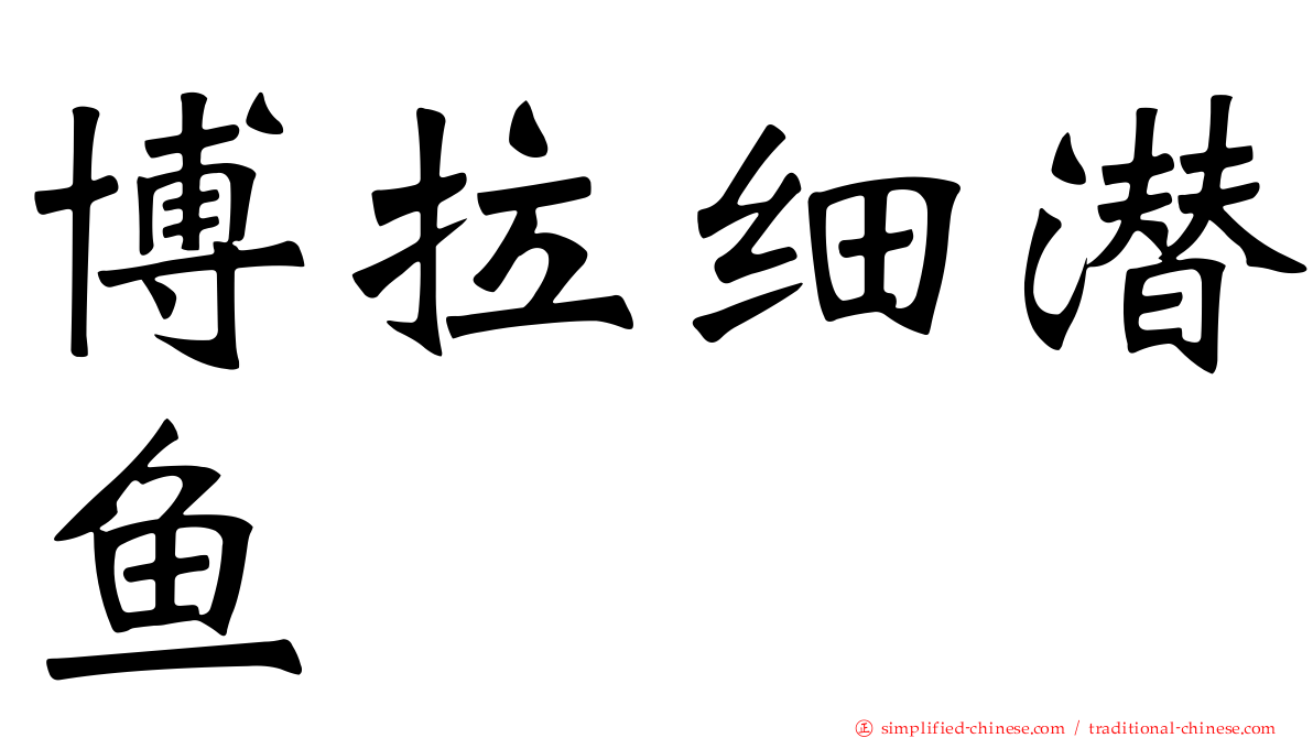 博拉细潜鱼