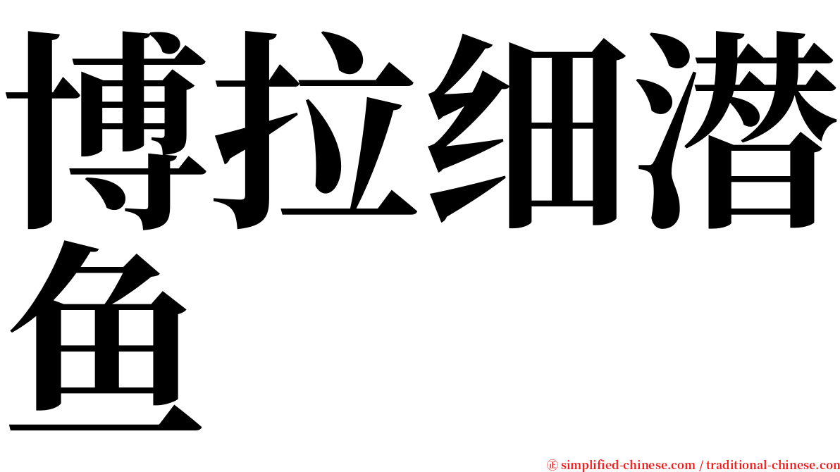 博拉细潜鱼 serif font