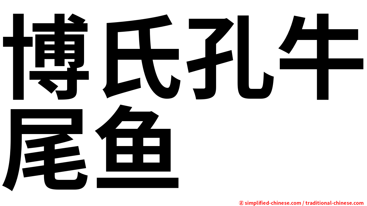 博氏孔牛尾鱼