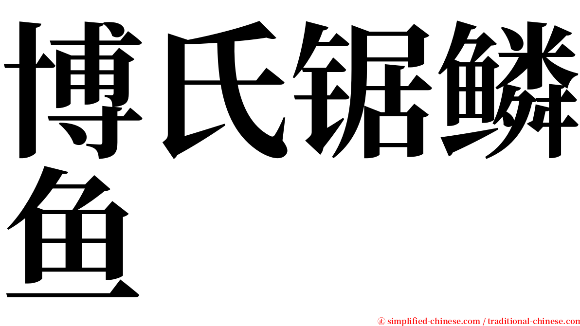 博氏锯鳞鱼 serif font