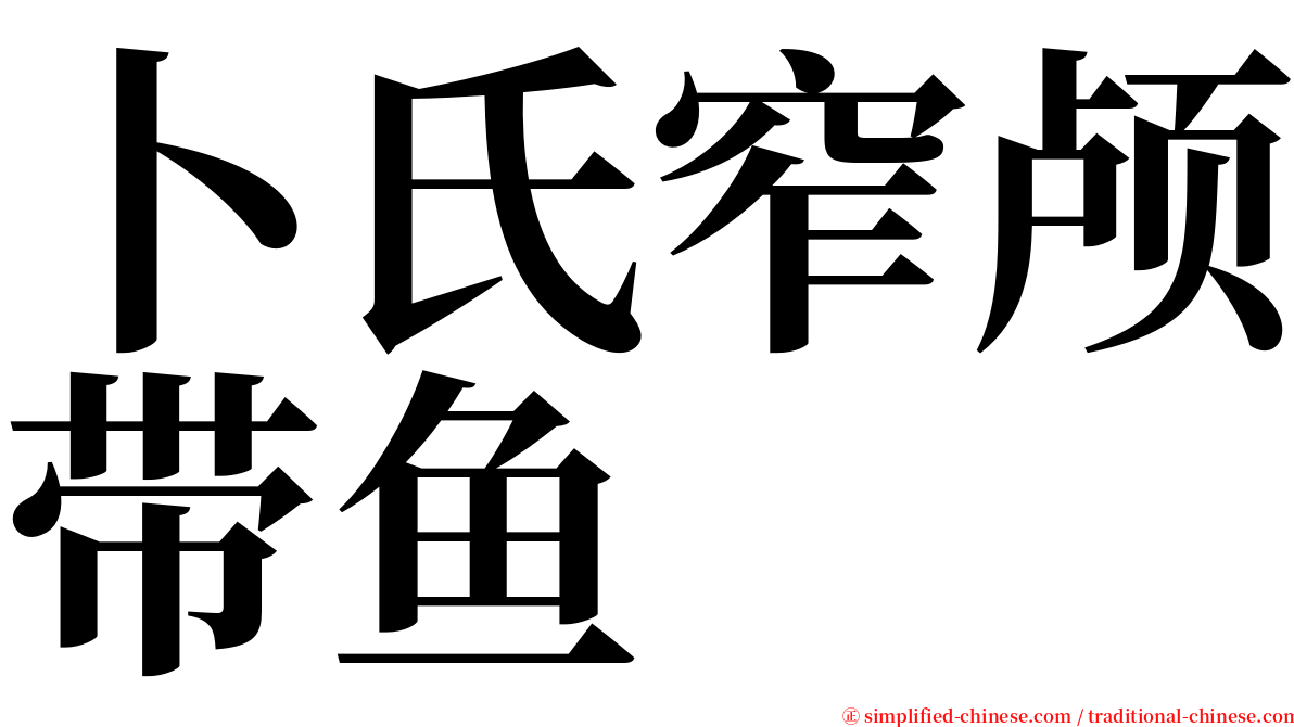 卜氏窄颅带鱼 serif font