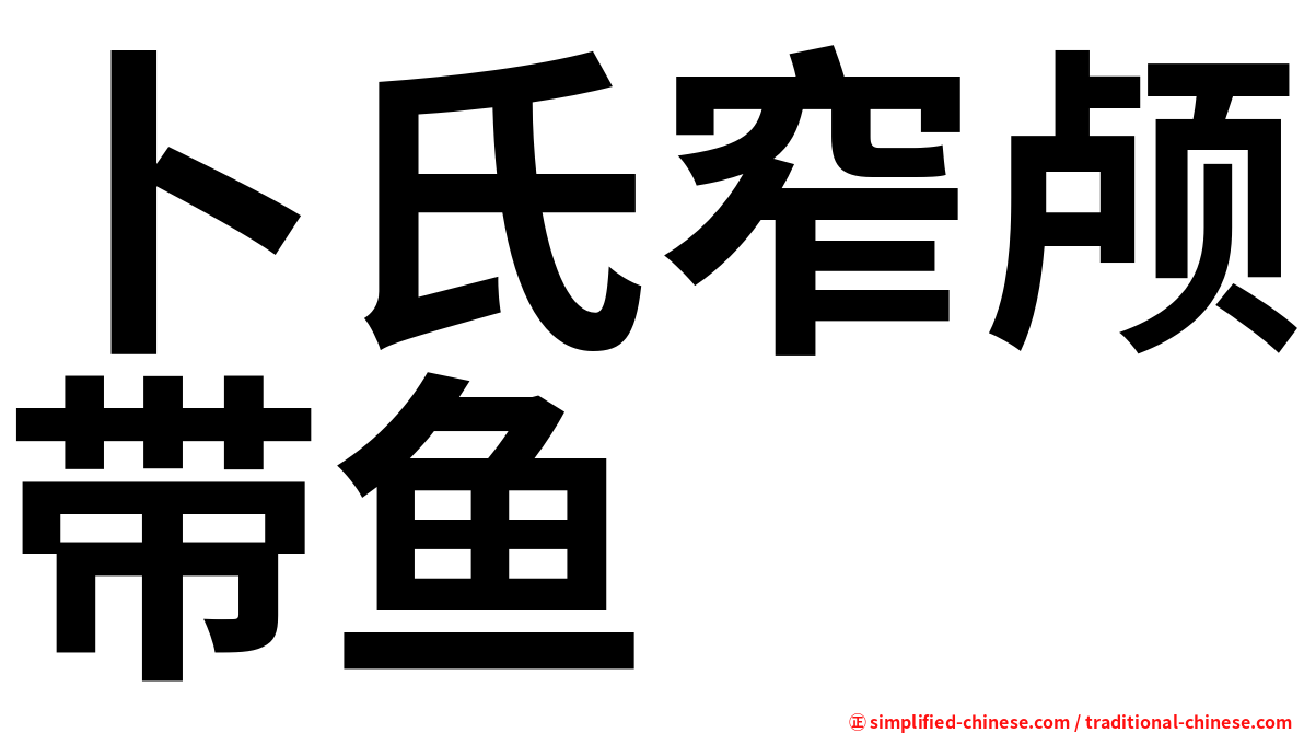 卜氏窄颅带鱼