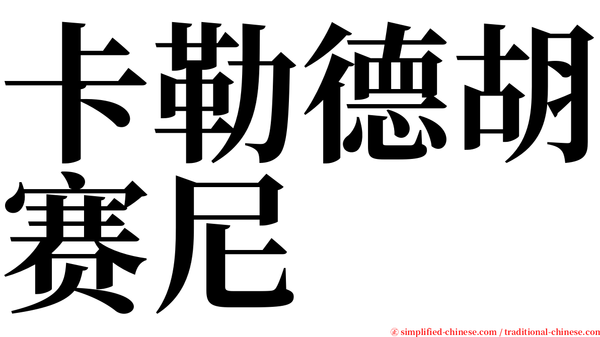 卡勒德胡赛尼 serif font