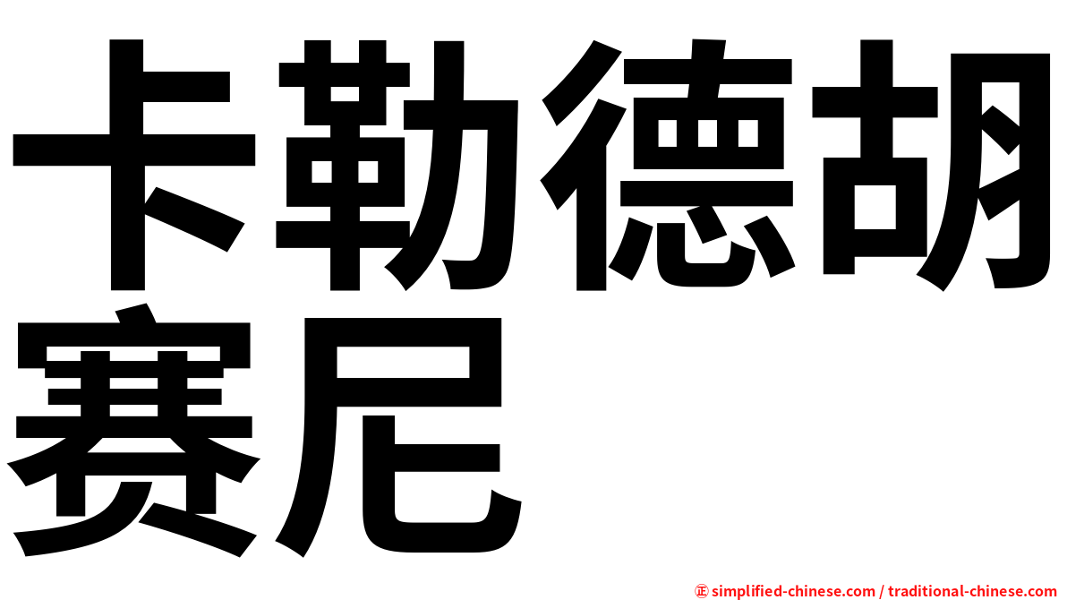卡勒德胡赛尼
