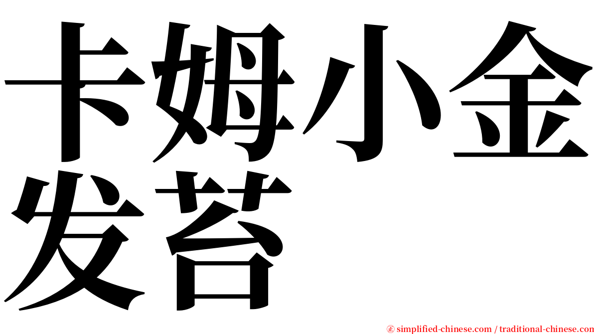 卡姆小金发苔 serif font