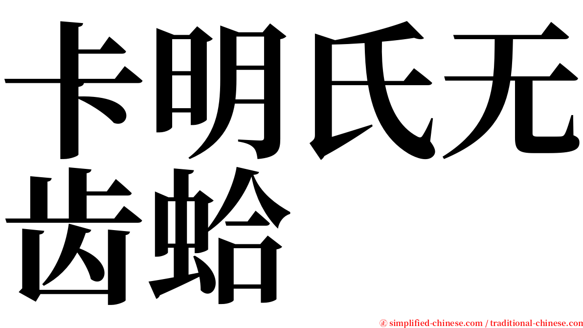 卡明氏无齿蛤 serif font