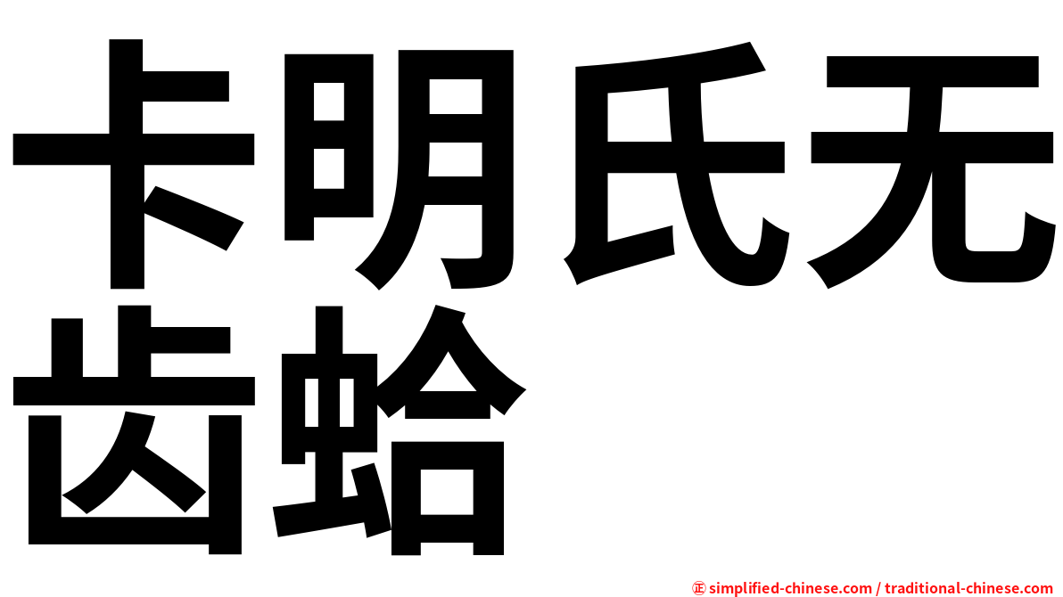卡明氏无齿蛤
