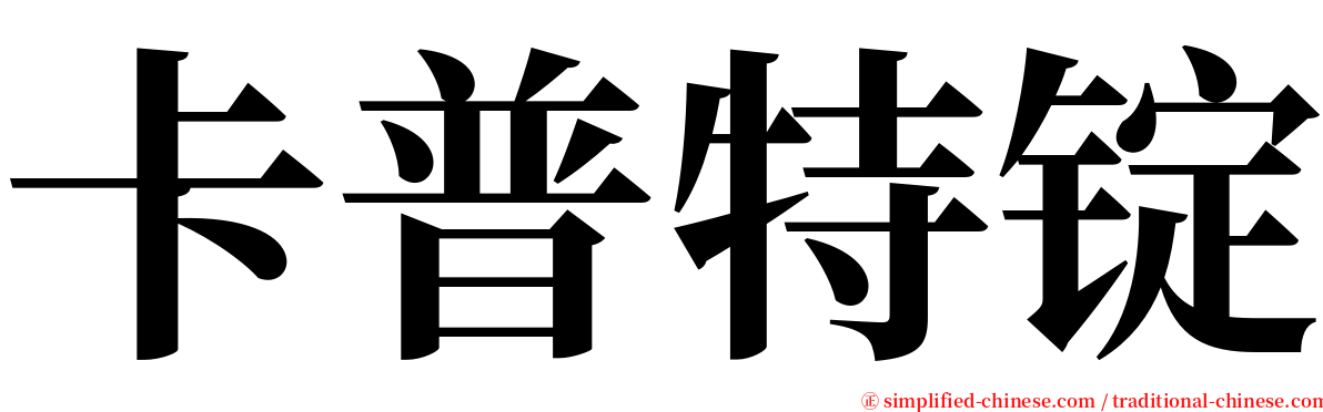 卡普特锭 serif font