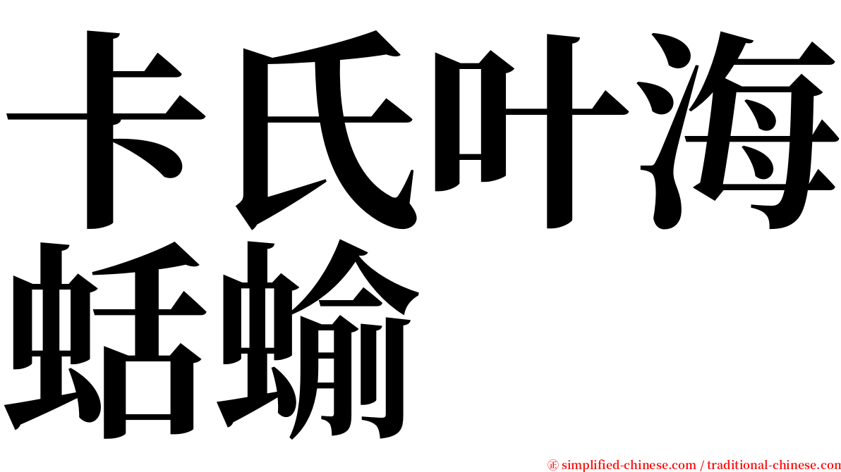 卡氏叶海蛞蝓 serif font