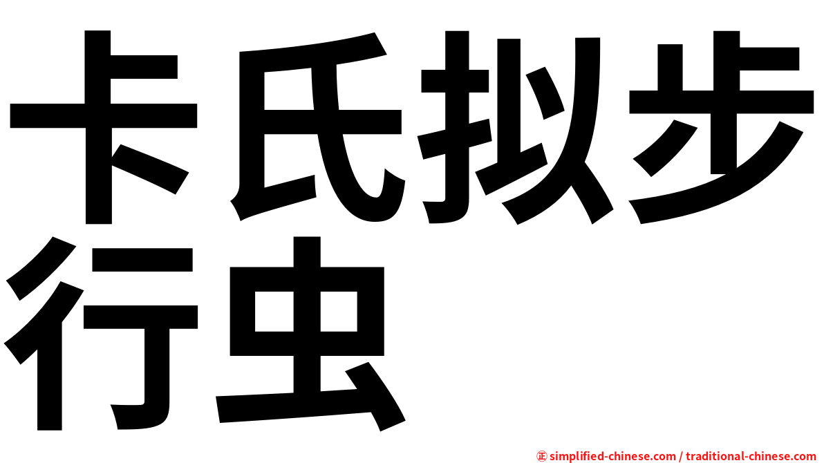 卡氏拟步行虫