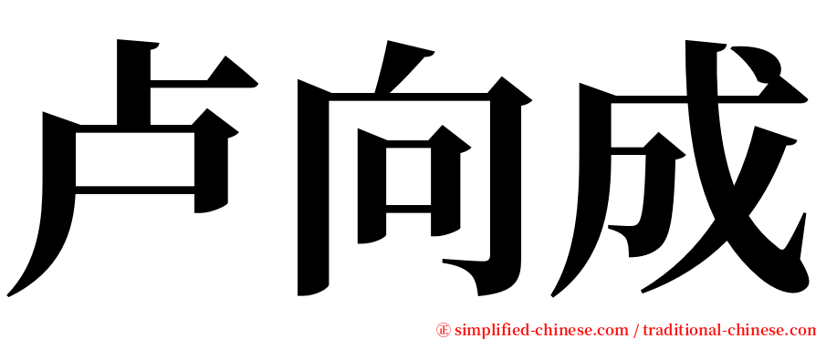 卢向成 serif font