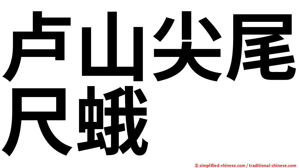 卢山尖尾尺蛾