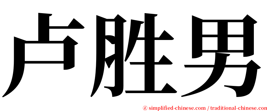 卢胜男 serif font