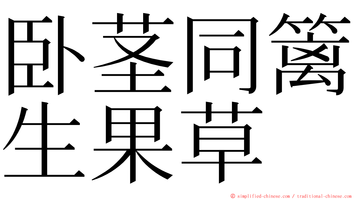 卧茎同篱生果草 ming font