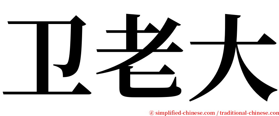 卫老大 serif font