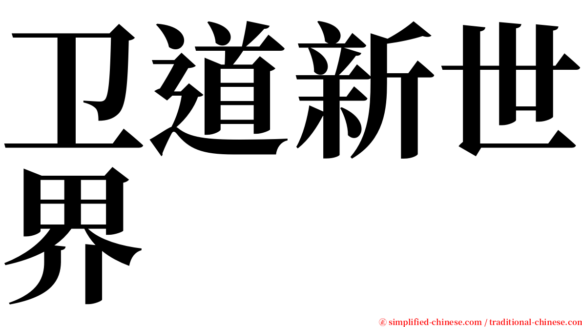 卫道新世界 serif font