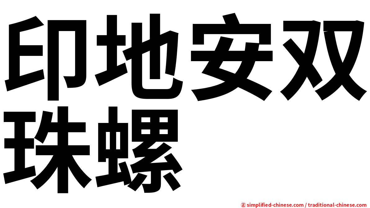 印地安双珠螺