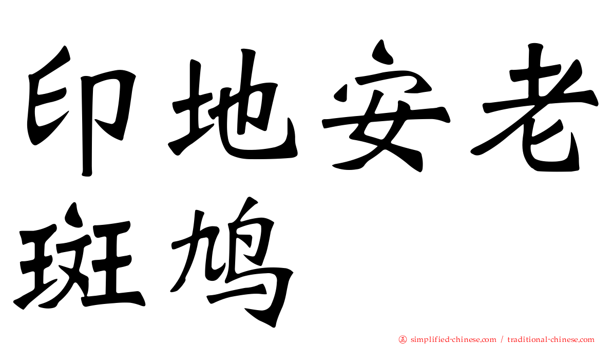印地安老斑鸠