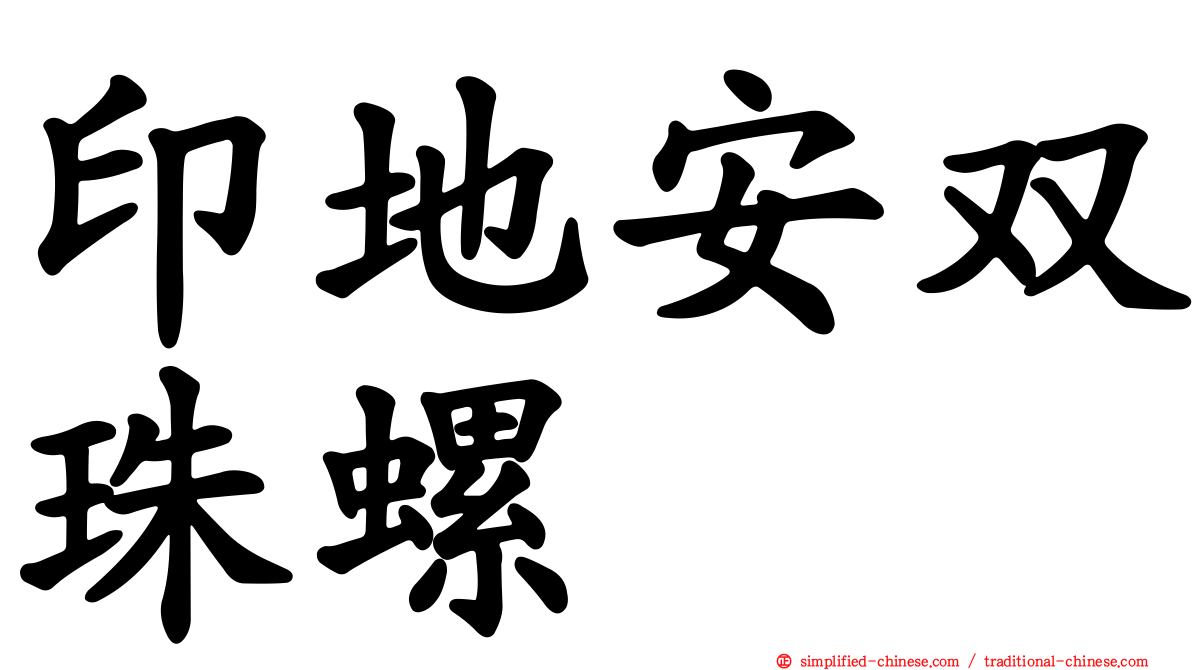 印地安双珠螺