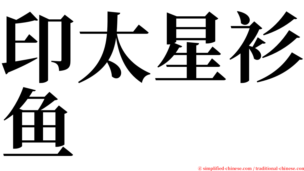 印太星衫鱼 serif font