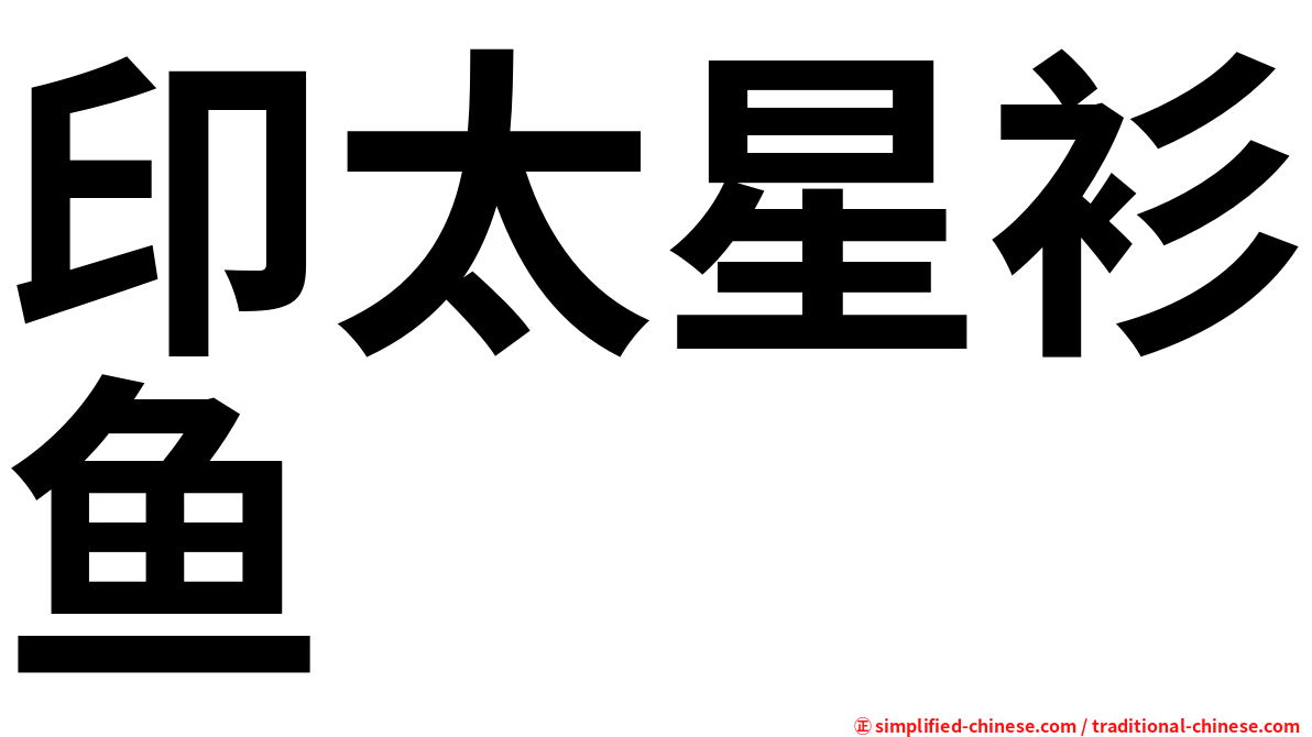 印太星衫鱼