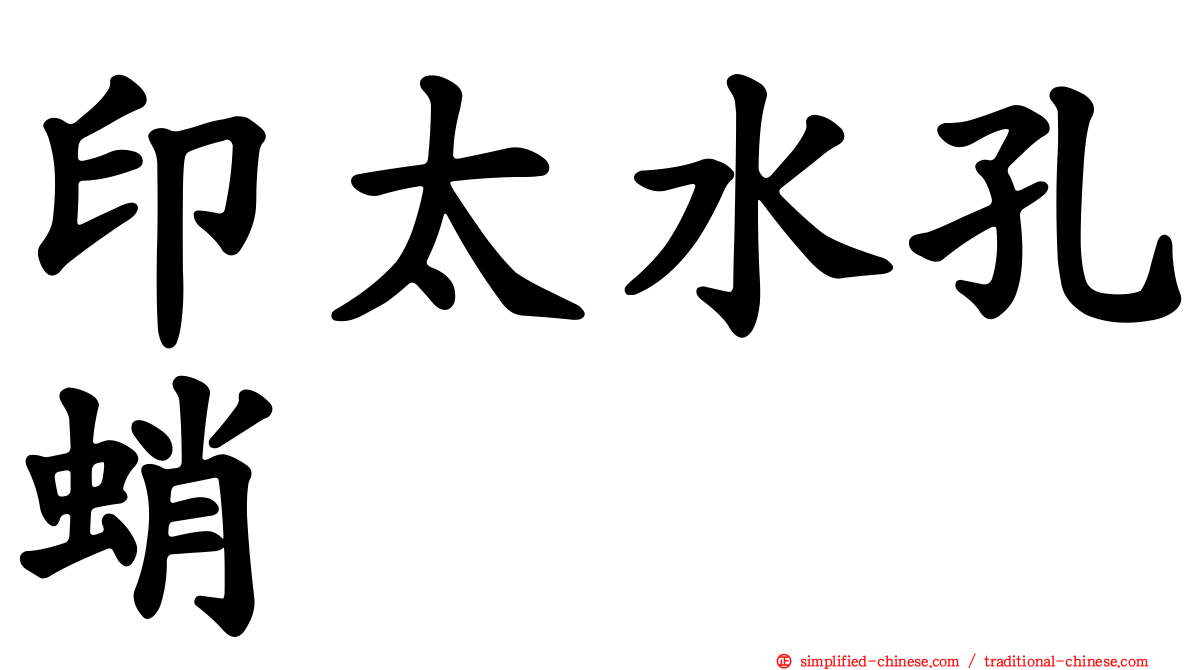 印太水孔蛸