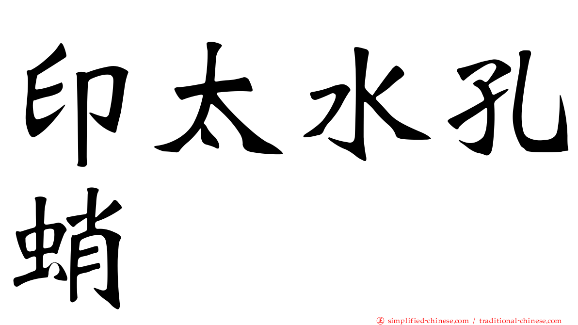 印太水孔蛸