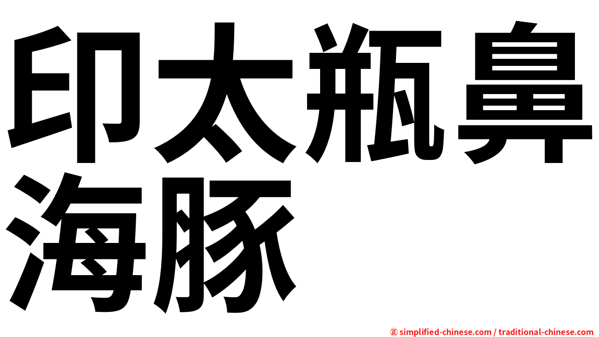 印太瓶鼻海豚