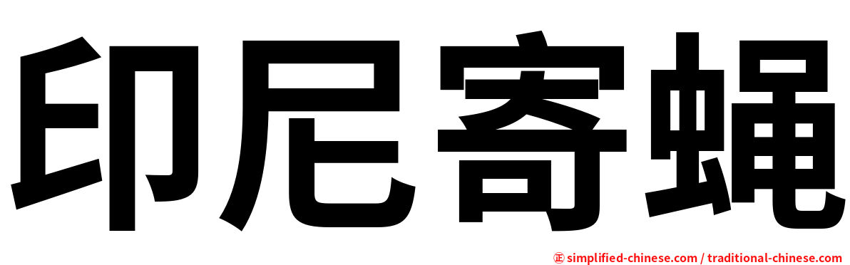 印尼寄蝇