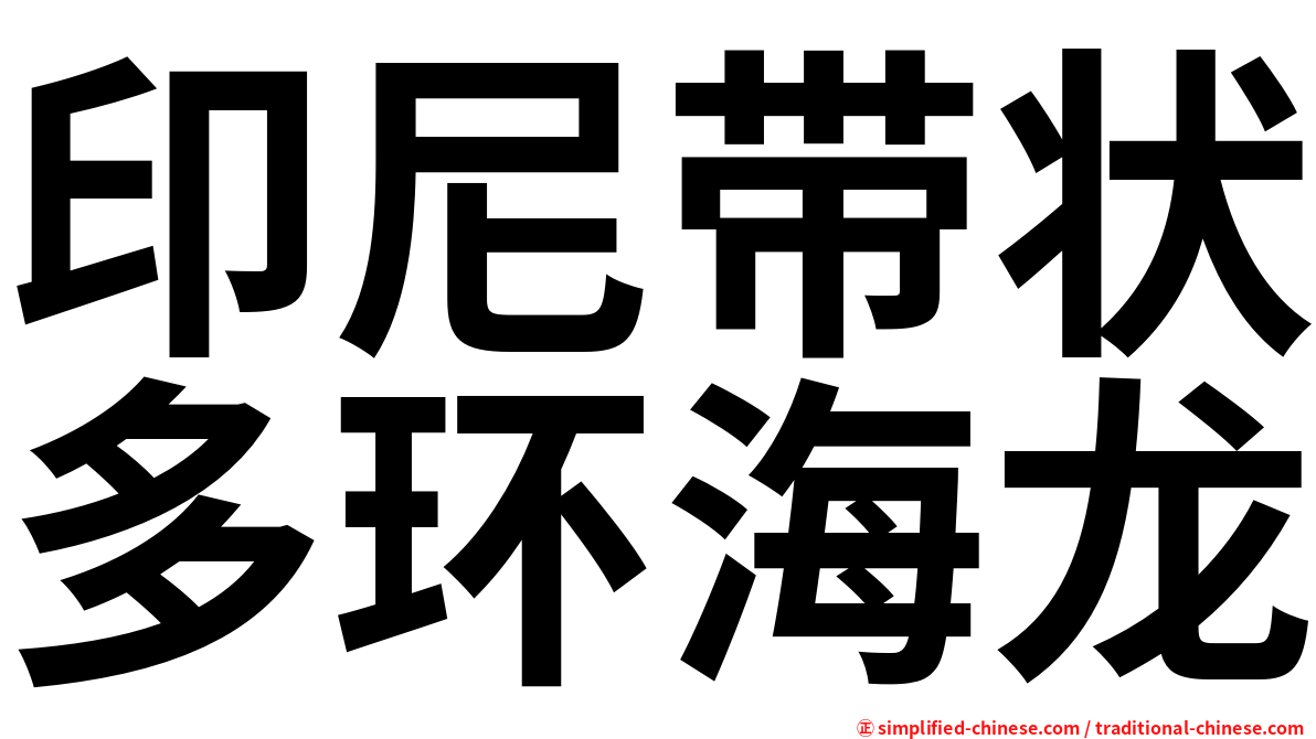印尼带状多环海龙
