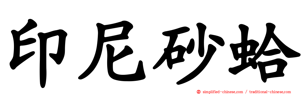 印尼砂蛤