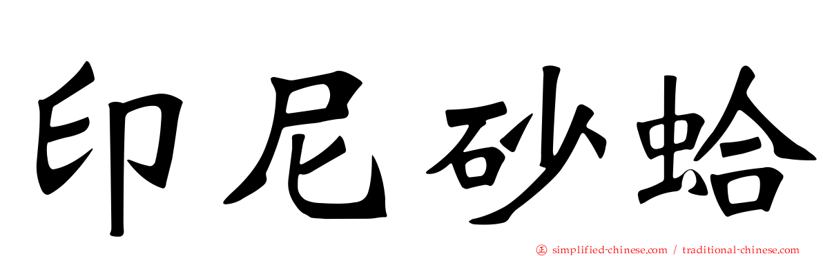 印尼砂蛤