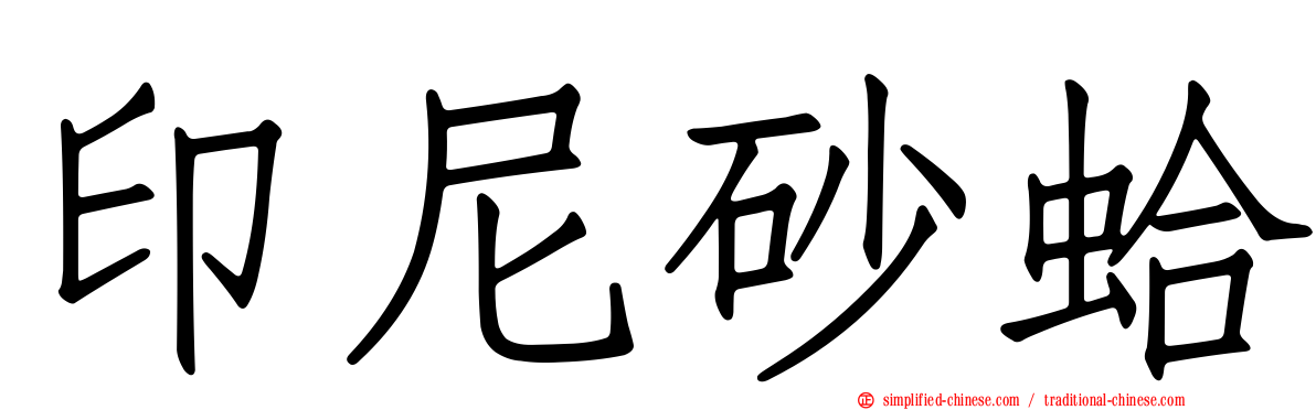 印尼砂蛤