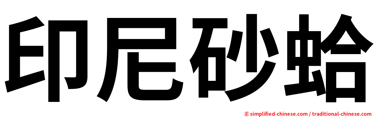 印尼砂蛤