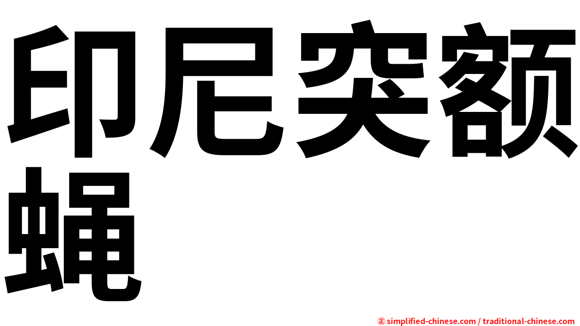 印尼突额蝇