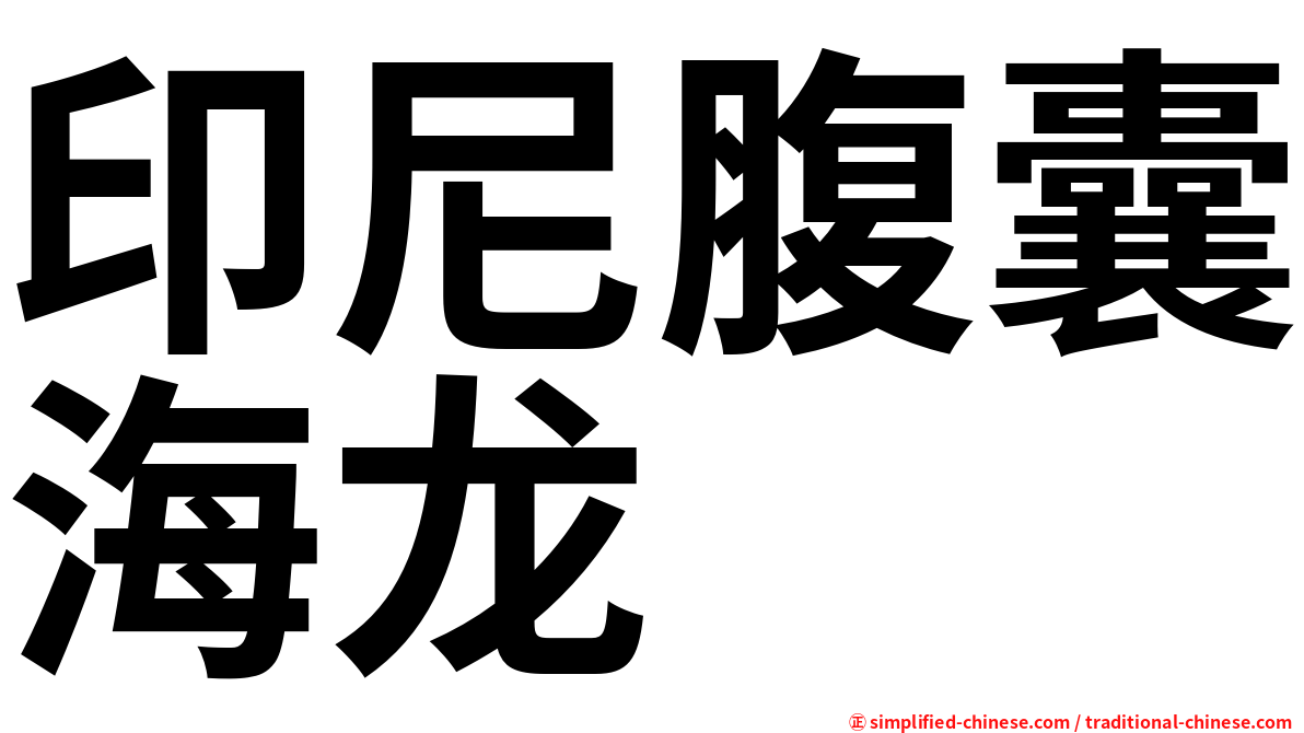 印尼腹囊海龙