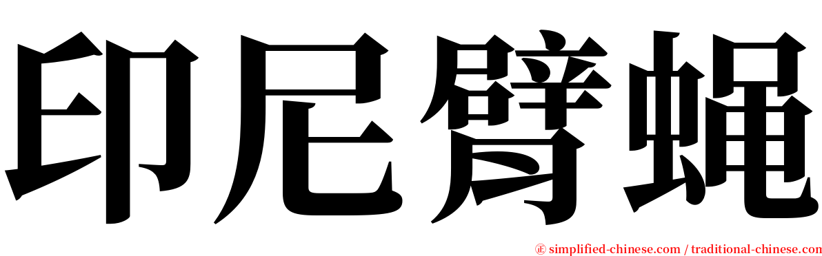 印尼臂蝇 serif font