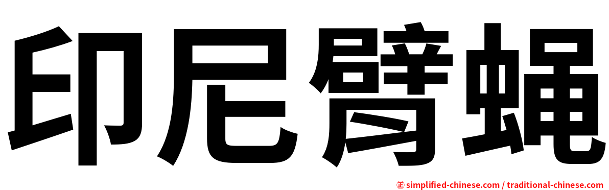 印尼臂蝇