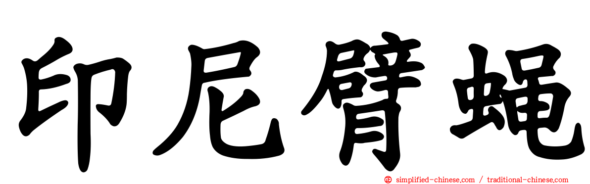印尼臂蝇