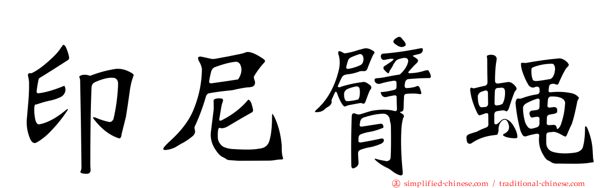 印尼臂蝇