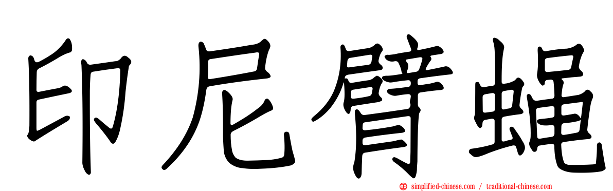 印尼臂蝇